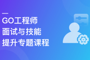 2023全新GO工程师面试总攻略，助力快速斩获offer