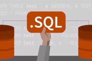 终极MySQL训练营: 从SQL初学者到专家