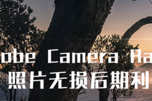 Adobe Camera Raw：照片无损后期利器 | 完结