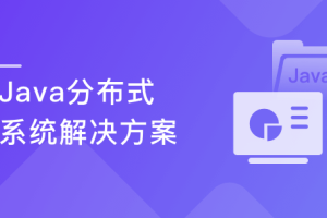 Java分布式系统解决方案 掌握企业级分布式项目方案