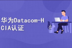 41小时华为HCIA-datacom认证课程
