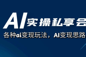 AI实操私享会，各种ai变现玩法，AI变现思路67节视频课程