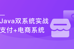 实战支付+电商双系统 玩“赚”Java技术栈