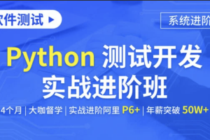 软件测试Python测试开发实战进阶班