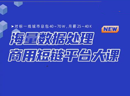 AI Agent智能应用从0到1定制开发(完结)