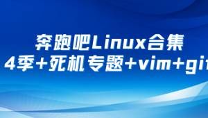 奔跑吧Linux社区合集 第1+2+3+4季+死机专题+RISC-V高级+arm64高级+vim+git