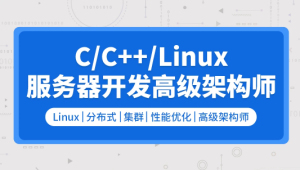 零声 C/C++Linux服务器开发/高级架构师