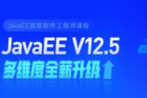 黑马Java2022最新版本全套v12.5+狂野终极项目