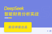 DeepSeek智能财务分析实战（完结无密）