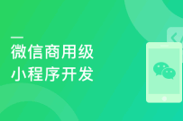 纯正商业级应用-微信小程序开发实战（完结无密）
